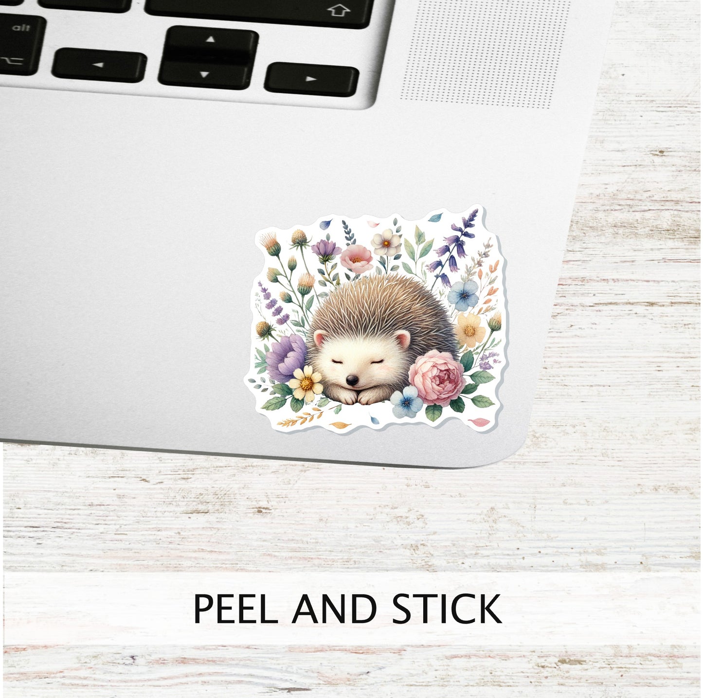 HEDGEHOG Vinyl Sticker || Hedgehog lover Gift, Spring, Springtime, Planners, Laptops, Journals, Scrapbooking and Craft Projects