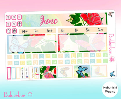 June Hobonichi Weeks || Sticker Kit, Hobonichi Weeks Planner Stickers, Cute Doodle Stickers, Hobo Weeks Set, June Hobo Kit